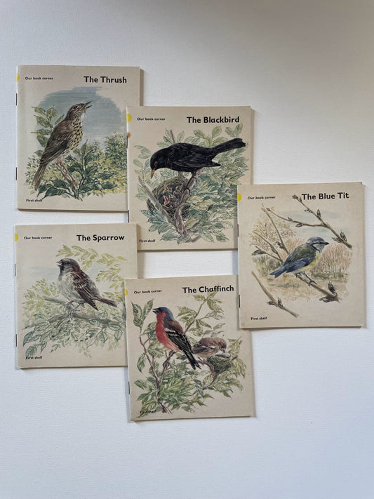 Our Bird Friends 5 book set
